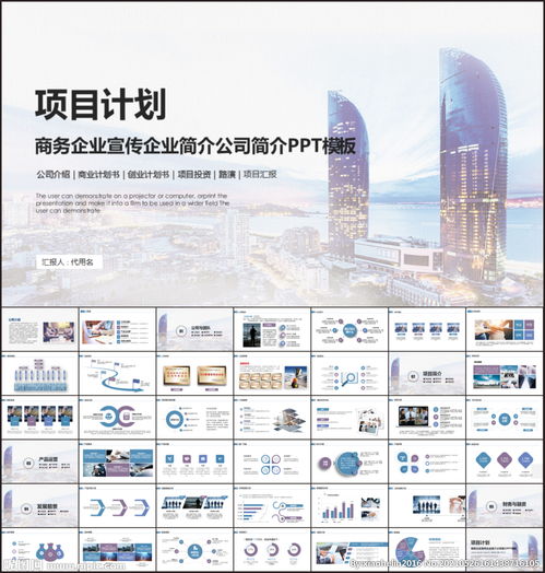商業項目計劃書ppt